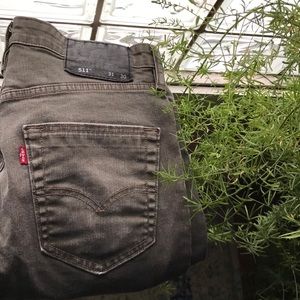 31x30 Levi Strauss & co.